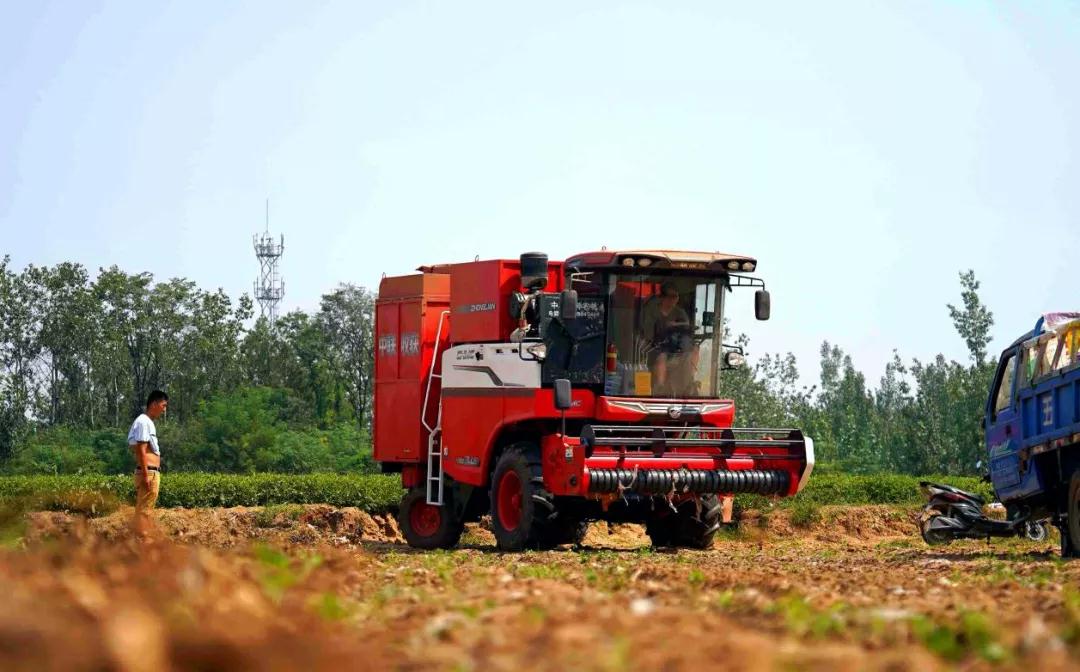 高口碑怎么練成?大浪淘沙后的花生機市場 12.8-3.jpg